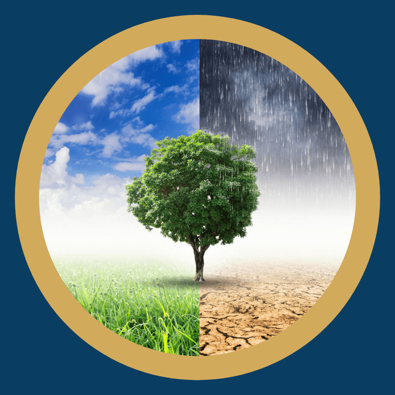 Ces 3 livres qui ont libéré l'entrepreneure Ces 3 livres qui ont libéré l'entrepreneure que je n'osais pas être